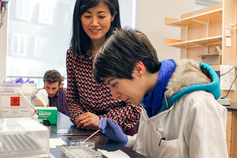 Students in the lab